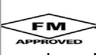 FM認(rèn)證用水壓試驗(yàn)機(jī)